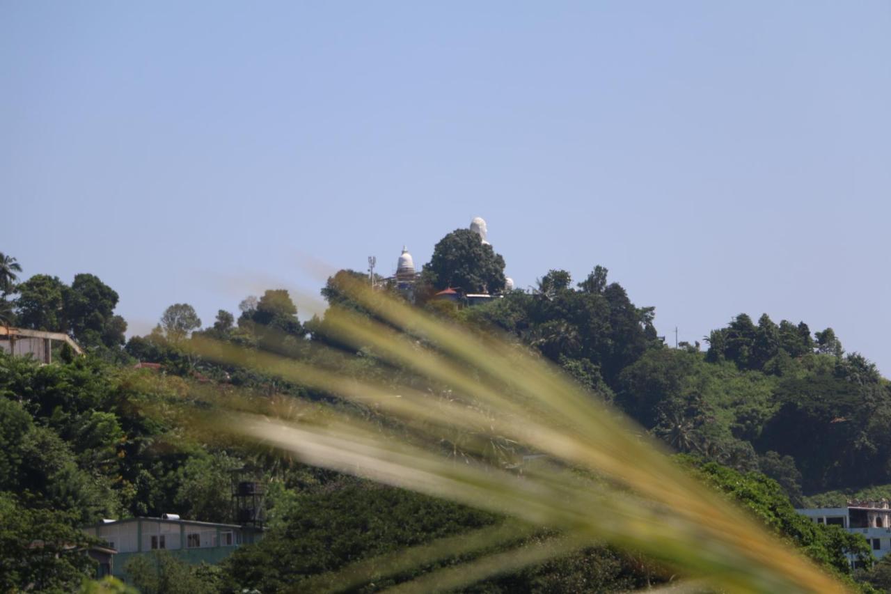 Kandy City Village Bagian luar foto